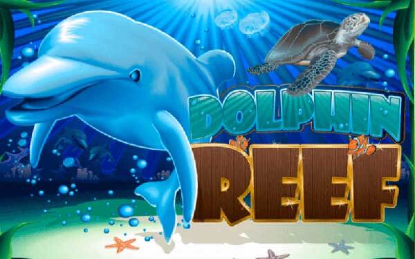 รีวิวเกม Dolphin Reef Joker8899