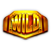 สัญลักษณ์พิเศษ Wild