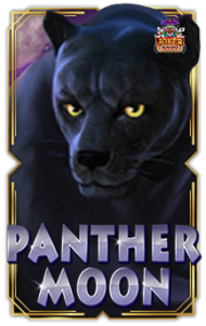 ทดลองเล่นสล็อต Panther Moon