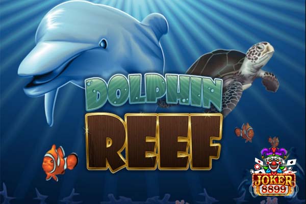 ทดลองเล่นสล็อต Dolphin Reef