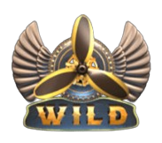 สัญลักษณ์พิเศษ Wild