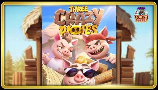 ทดลองเล่นสล็อต Three Crazy Piggies