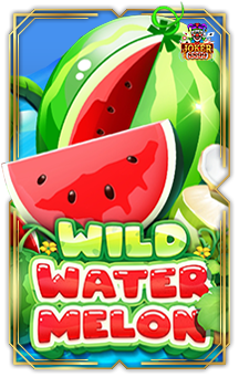 ทดลอง Wild Watermelon