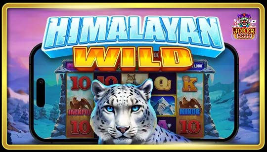 ทดลอง Himalayan Wild