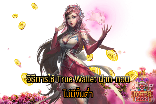 รูปภาพของ วิธีการใช้ True Wallet ฝาก-ถอน ไม่มีขั้นต่ำ