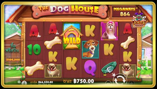 กฎกติกาการเล่นเกมสล็อต The Dog House