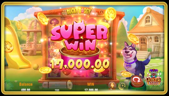 ฟีเจอร์พิเศษของเกมสล็อตสุนัขนำโชค