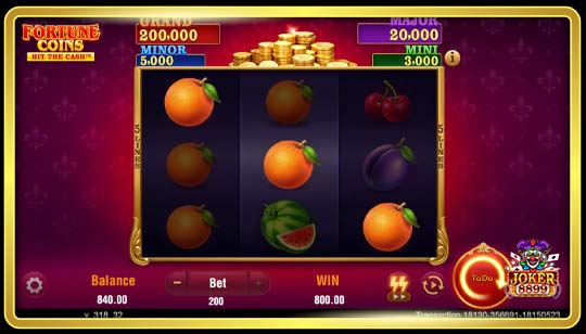 รูปแบบการเล่นเกมสล็อต Fortune Coins