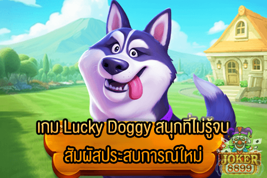 รูปภาพของ เกม Lucky Doggy สนุกที่ไม่รู้จบ สัมผัสประสบการณ์ใหม่