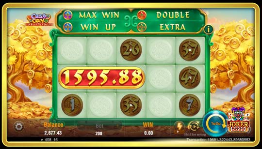 รูปแบบของเกมสล็อต Cash Coin